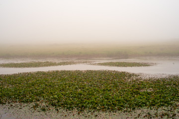 Fototapeta na wymiar Local misterioso, lago com névoa 