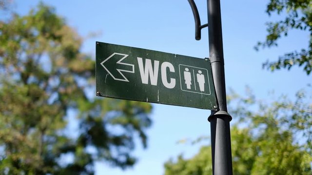 A sign pointer to the toilet outside in a city park against the background of green trees and a blue sky on a sunny day. Close-up