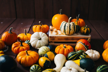 Group of colorful halloween decoration pumpkins at brown background