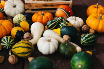 Group of colorful halloween decoration pumpkins at brown background