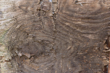 Wood texture background, wood planks