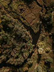 zagare from drone perspective at autumn