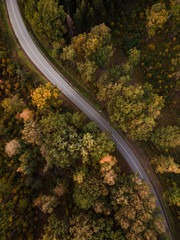Road in the autumn forest aerial view from drone