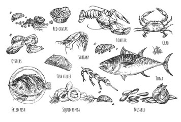 Healthy seafood natural illustration