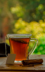cup of tea with cinnamon with nature background, in a glass cup