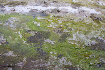 view of geo thermal park Waiotapu, New Zealand