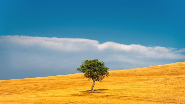 Summer solitude...
