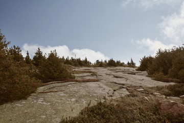 Fototapeta na wymiar Hiking in Acadia National Park along granite bedrock of Cadillac Mountain on a cool Fall day