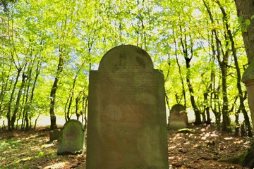 gravestones in jewish graveyard 