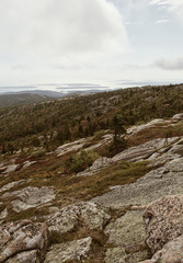 Fototapeta na wymiar View of Maine coastline in the distance from Cadillac Mountain on Mount Desert Island in Acadia National Park