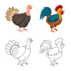 Isolated object of breeding and kitchen icon. Set of breeding and organic vector icon for stock.