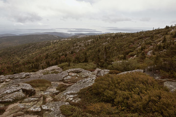 Fototapeta na wymiar View of Maine coastline in the distance from Cadillac Mountain on Mount Desert Island in Acadia National Park
