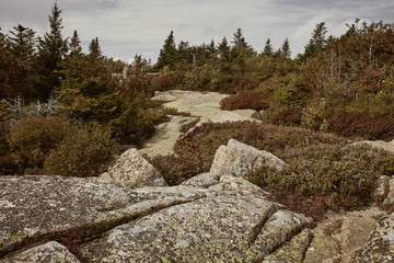 Fototapeta na wymiar Hiking along granite bedrock on the summit of Cadillac Mountain in Acadia National Park on Mount Desert Island, Maine.