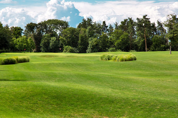 landscape of a hilly glade with a green lawn in a well-kept meadow in the background reed and trees with a blue sky on sunny summer day.
