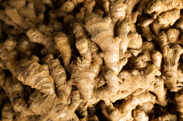 ginger stacked on the marketplace