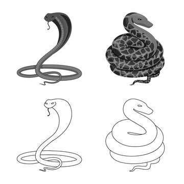 Vector illustration of mammal and danger logo. Set of mammal and medicine vector icon for stock.