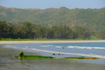 Indonesia Sumba Pantai Tarimbang beach view with driftwood
