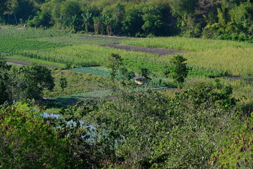 Obraz na płótnie Canvas Indonesia Sumba Waingapu Luku Kambaniru Valley with plantages and river