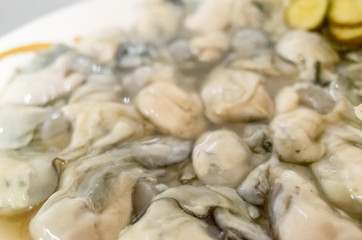 fresh oysters close-up on white plate