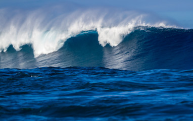 Big Ocean wave in Hawaii