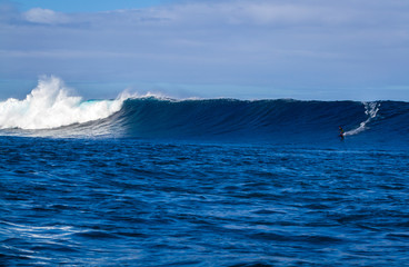 Lone Surfer riding a giant wave in Hawaii