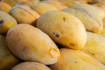 yellow stacks of mango fruits