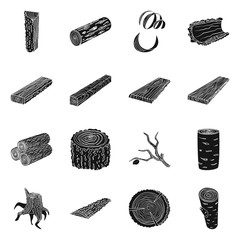 Isolated object of hardwood and construction icon. Set of hardwood and wood stock symbol for web.
