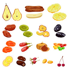 Vector illustration of fruit and dried sign. Set of fruit and food stock vector illustration.