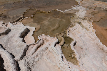 Mammoth Hot Springs