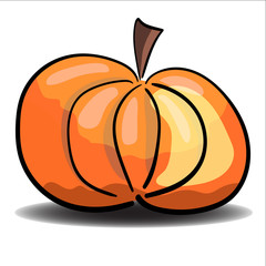 An isolated pumpkin on a white background