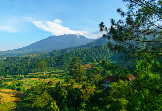 The view to Gede-Pangrango national park in Bogor , Indonesia