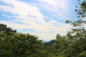 空　秋　田舎　風景　杤木