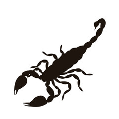 Scorpion Silhouette