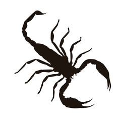 Scorpion Silhouette