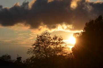 Sunrise over woods