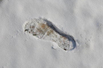 Walk in the snow