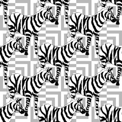 Fototapeta na wymiar Vector Exotic zebra print wild animal isolated. Black and white engraved ink art. Seamless background pattern.