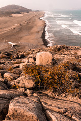 costas de la playa villarica en veracruz mexico