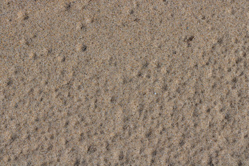 Sand and water texture