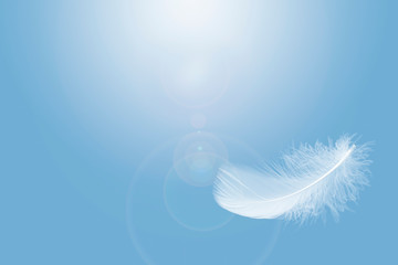 Soft single white feather floating in the air