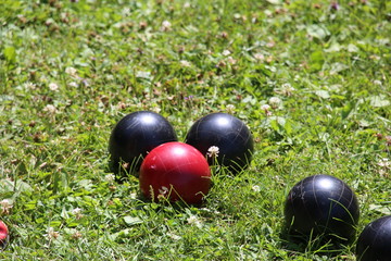 Red and Black Bocce Balls on the Lawn