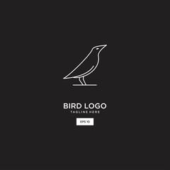 Bird logo and icon design vector template .