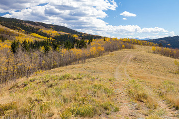 Fototapeta na wymiar Colorado fall mountain landscape with dirt path climbing into a golden aspen forest