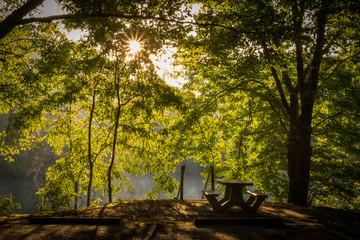 A picnic area at Grundy Lakes Park in Tracy City, Tennessee of the South Cumberland State Park system. Backlit by the early morning sunshine..