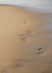 Fototapeta na wymiar footprints on the golden beach