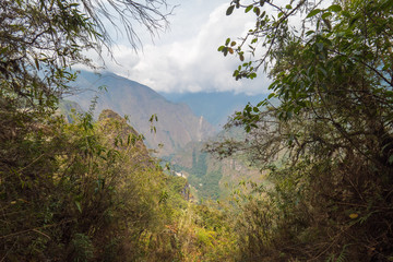 View of andes mountain range from behind the bushes on another mountain