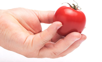 Female hand offering a red Tomato on white background. Health Concept