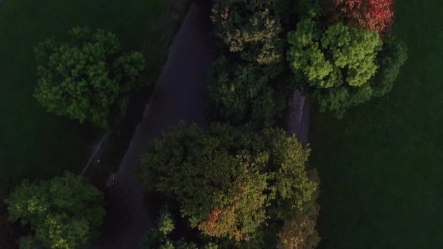 A panning shot from a drone from a green and red colored beauty tree up to the skyline of Munich.