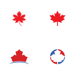 Stylized Autumn Maple Leaf Foliage logo