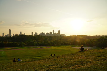 yoga in a park